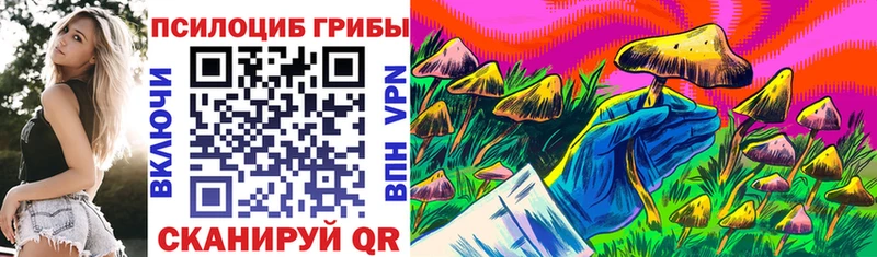 Псилоцибиновые грибы Magic Shrooms нарко площадка официальный сайт Новоаннинский купить сайты